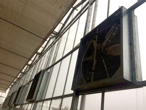 ��ƽʳƷ��ҵ԰����