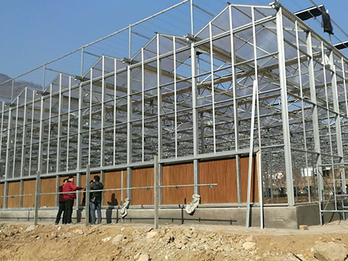 ����ʪ��ǽ