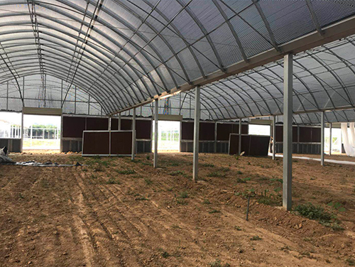 ����ʪ��ǽ2