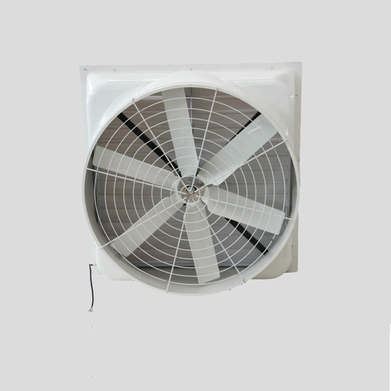 �����ַ��