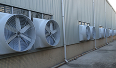 ���������ַ��ά��Ҫ��ȡ��Щ�����ʩ?