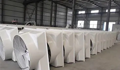 �����ַ���Ŀɿ�����������Щ���棿