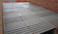 ©�������ü�������