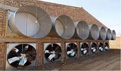 ���ή��ѡ��ѹ������ǲ����ַ����